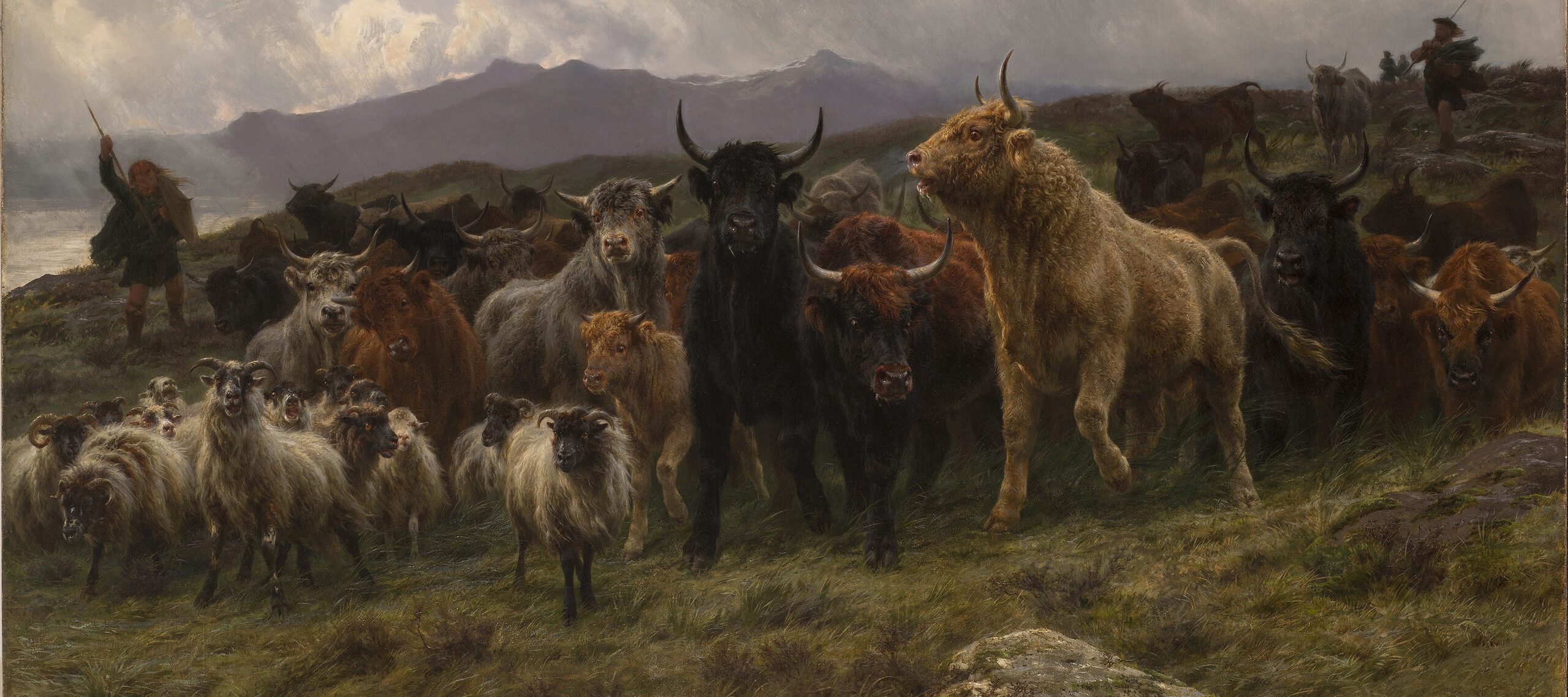 A large group of animals is herded by two shepherds on a grassy hill above the ocean. Black, tan, and red bulls crowd small white sheep with curled horns. The animals move nervously, their coats blowing in the wind. Clouds in the background suggest an impending storm.