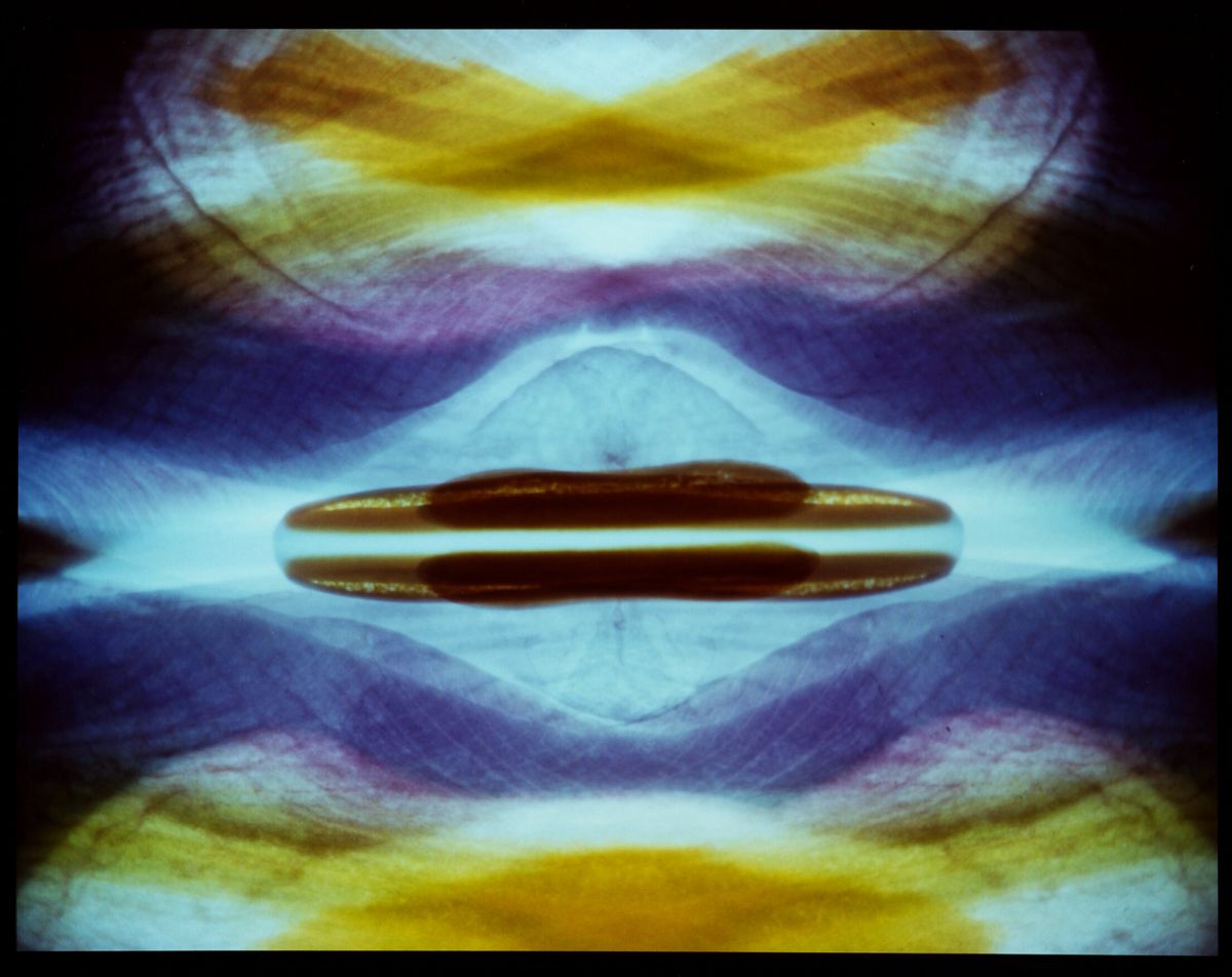 Yellow, purple, light blue, and tan shapes run together and make up a kaleidoscope pattern. Darker streaks that look like veins run through the colors. In the middle two brown, thin shapes parallel one another and float against the light blue background.