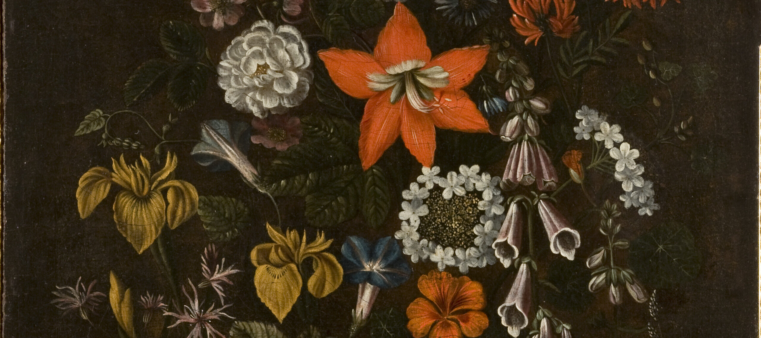 A detailed oil painting of a lush forest-floor still life featuring an asymmetrical arrangement of various flowers, including tall irises and morning glories, bell-shaped foxgloves, a central bright orange lily-like bloom, and clusters of white and pink blossoms. This is set against a dark, muted background.