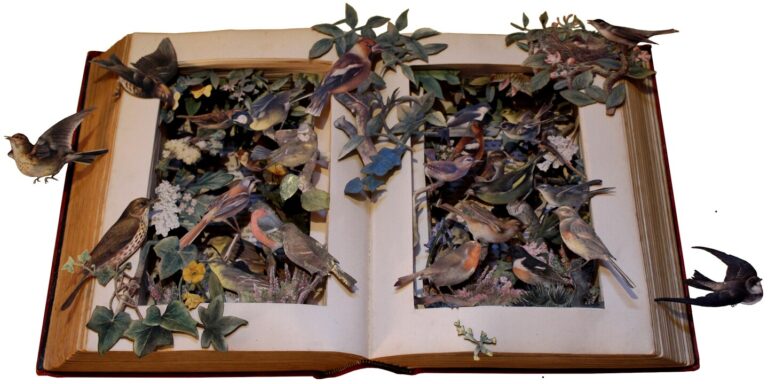 An open book full of birds made of paper, flying out of the book.