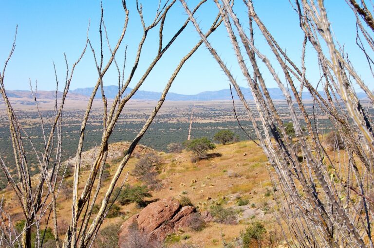 Jami Porter Lara, U.S.-Mexico Borderlands, 2011; © Photo courtesy of Jami Porter Lara