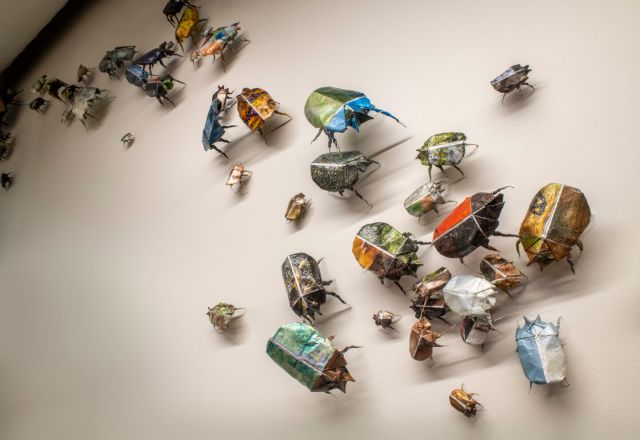 Detail of installation of origami beetles of different colors, designs, and sizes in varied positions on a wall.
