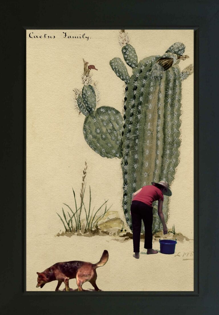 Mary Tsiongas, The Mercurial Dog Anticipates Her, 2013; LED monitor displayed vertically, media player, HD video looped, black shadow box frame, 28 in. x 39 in. x 4 in.; Courtesy of Richard Levy Gallery and the artist